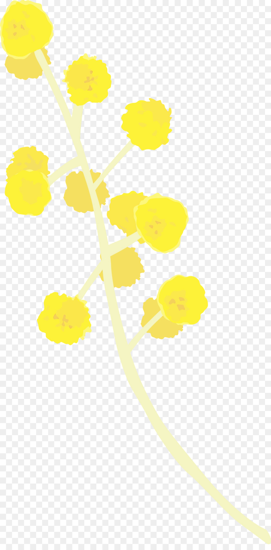 Jaune，Ligne PNG