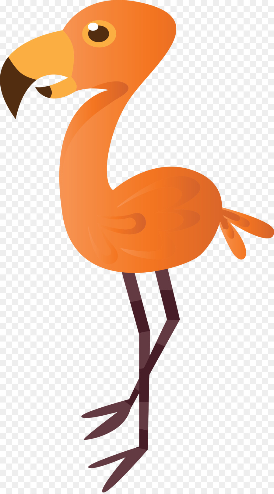 Oiseau，Orange PNG