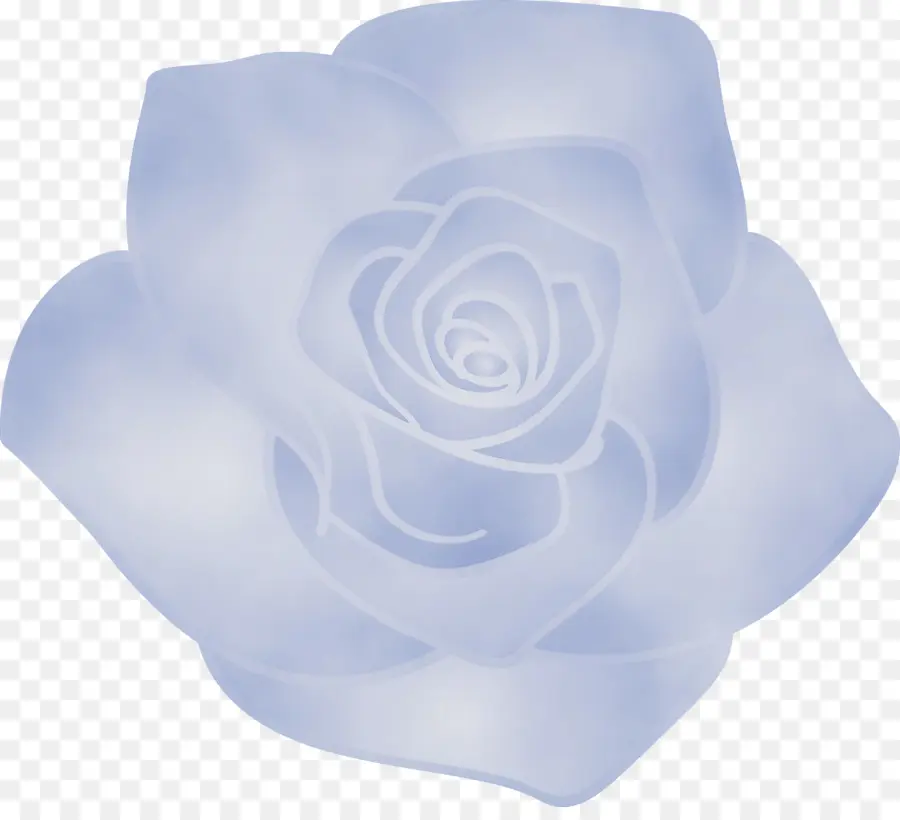 Blanc，Rose PNG