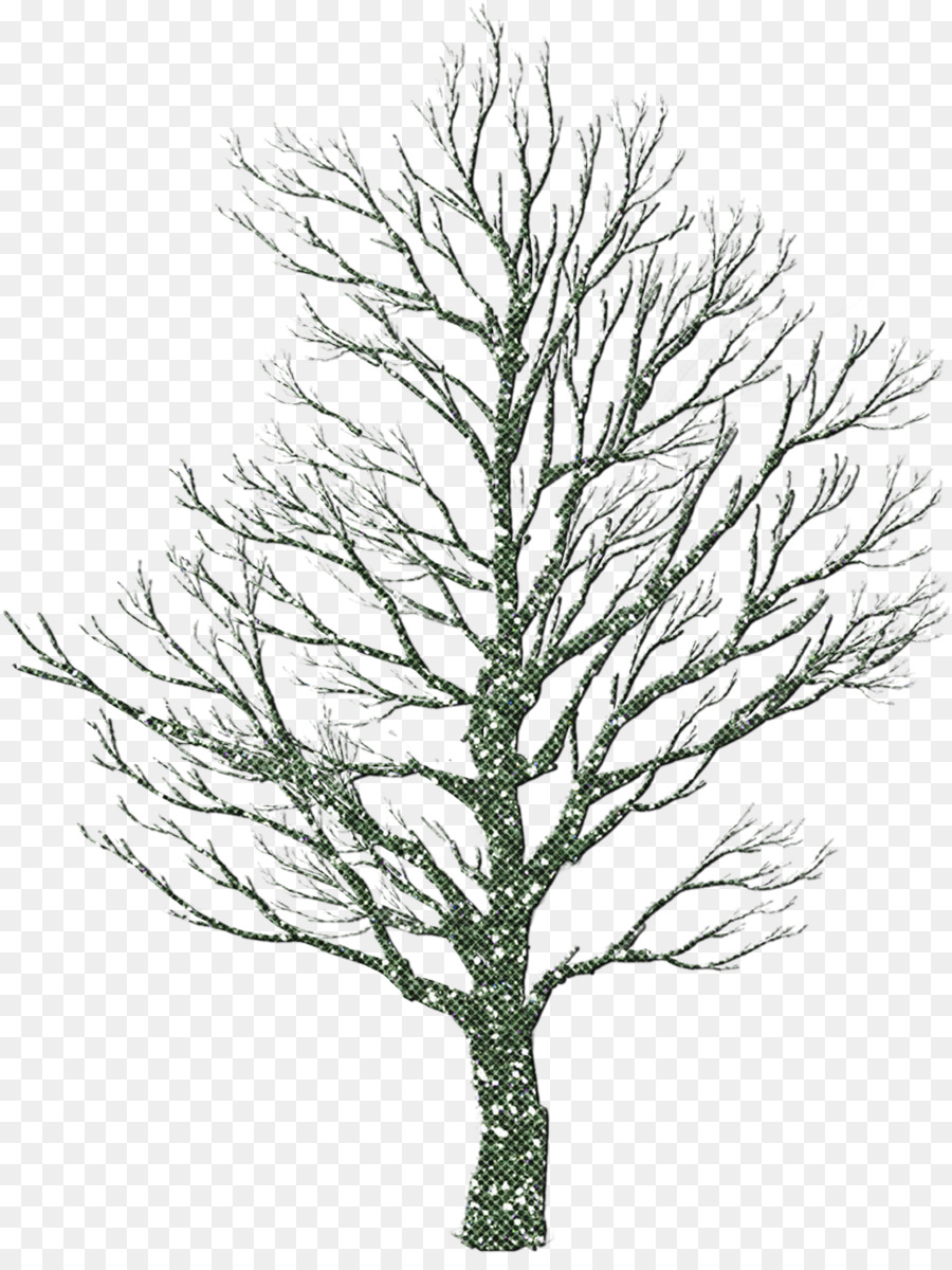 Arbre Sans Feuilles，Succursales PNG