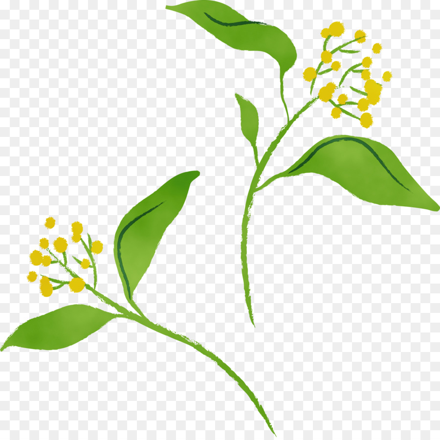 Fleur，Usine PNG