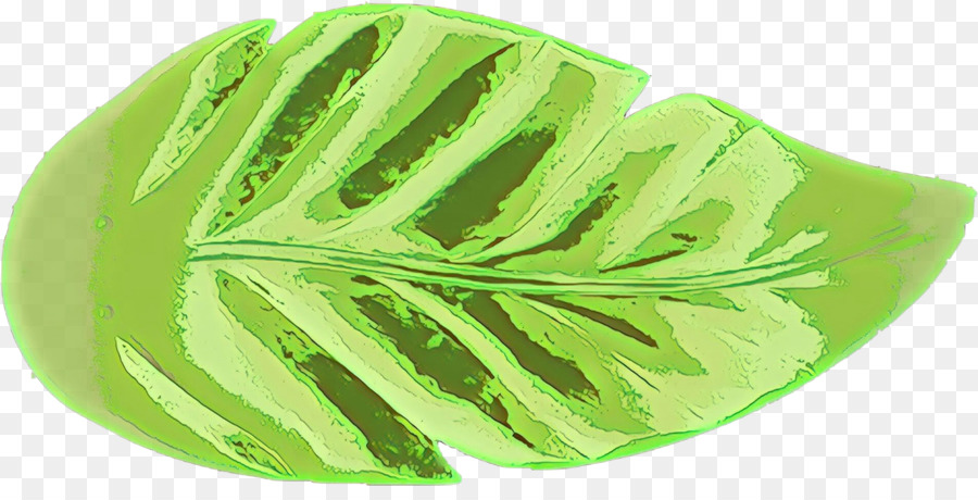 Feuille Verte，Nature PNG