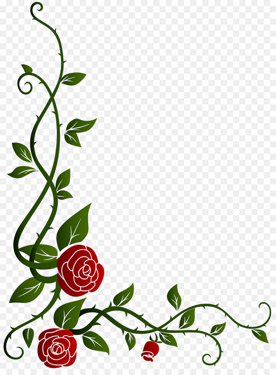 Fleur，Plante PNG