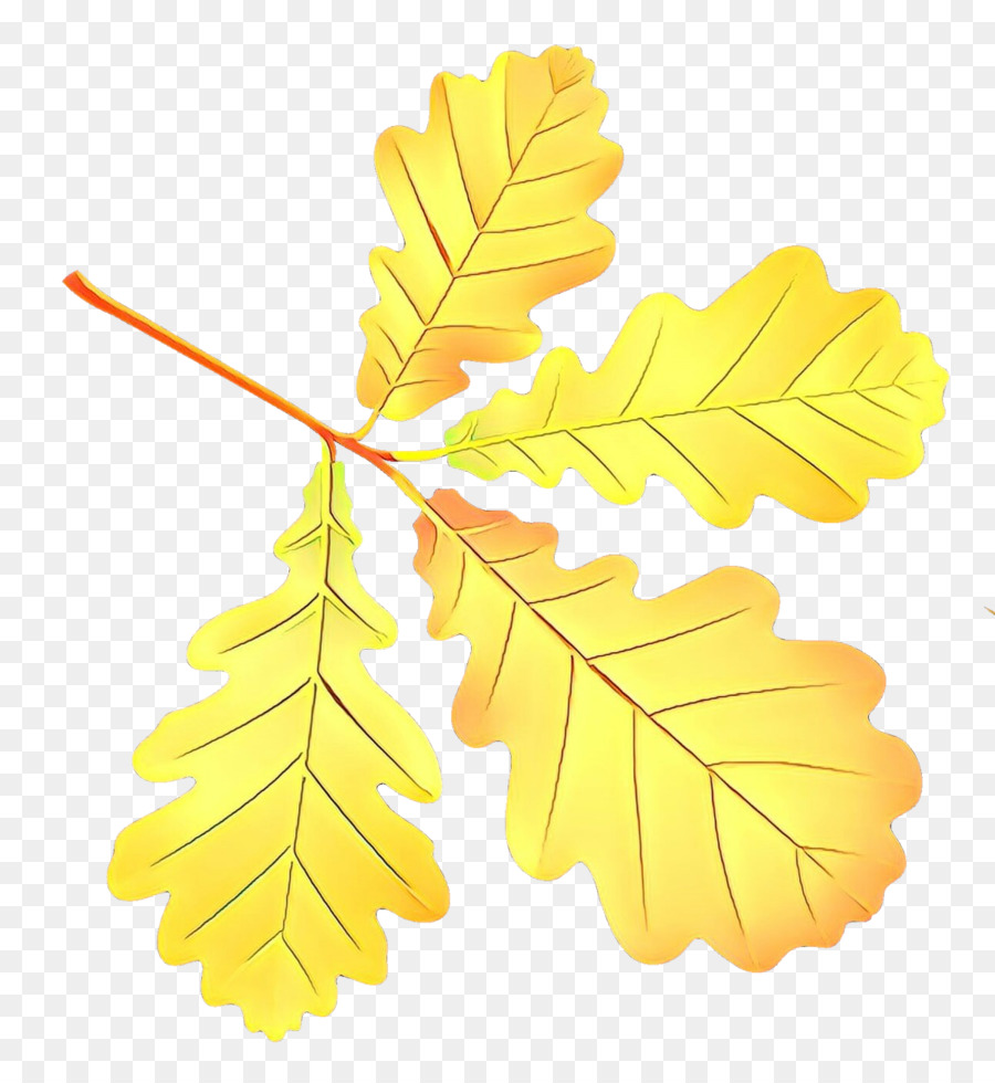 Feuilles D'automne，Automne PNG