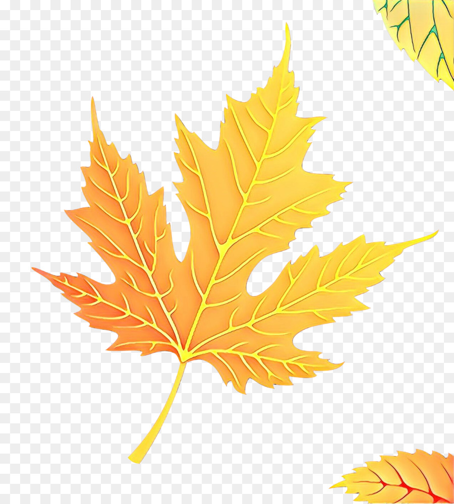 Feuilles D'automne，Automne PNG