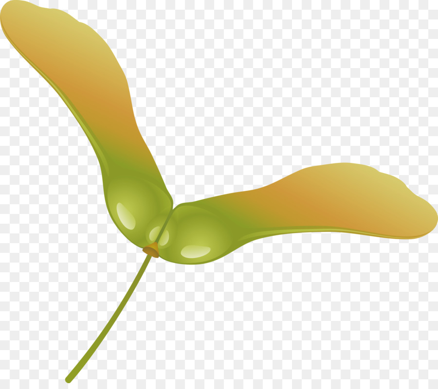 Vert，Jaune PNG