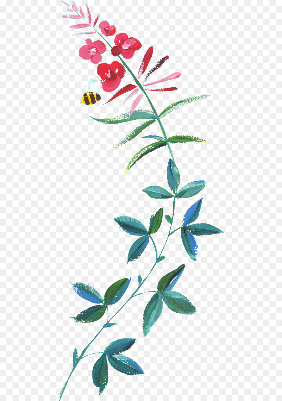 Fleur，Plante PNG