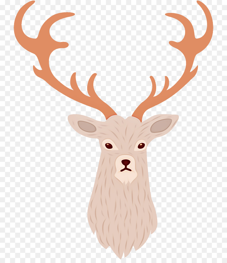 Cerf，Bois PNG