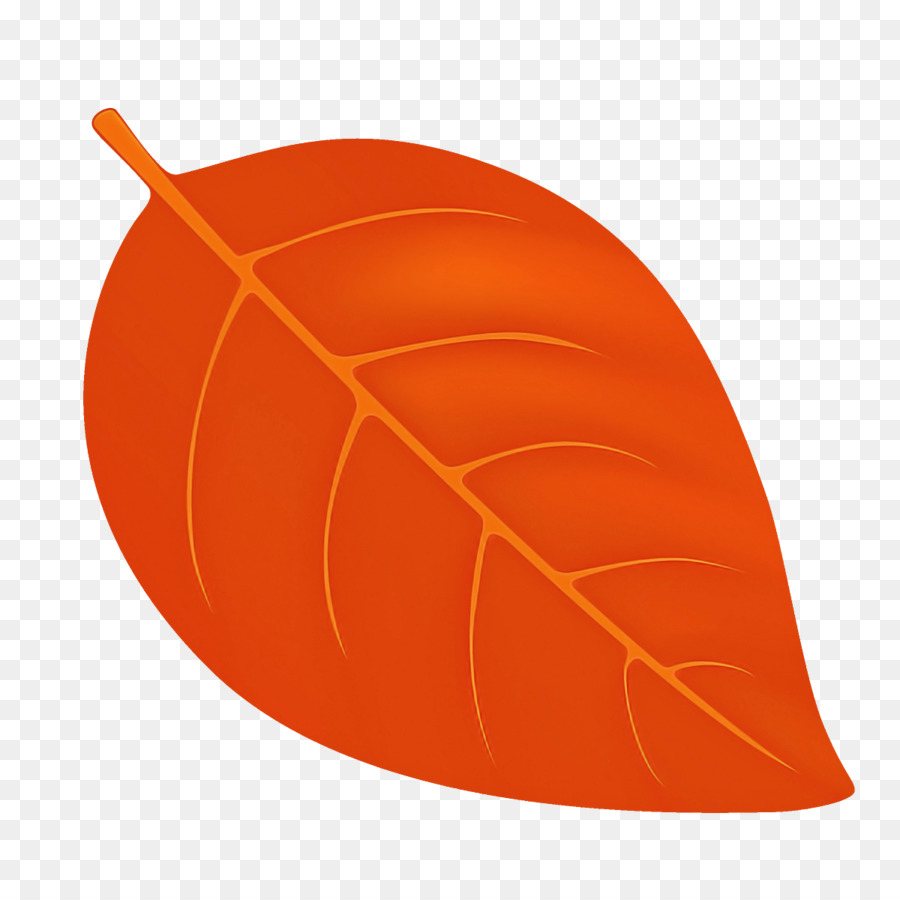 Feuille D'oranger，Automne PNG