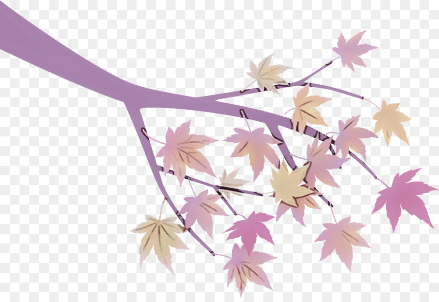 Feuilles D'érable，Automne PNG