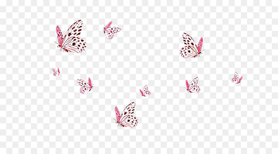 Papillons，Insectes PNG