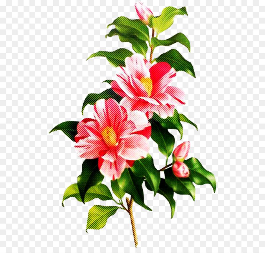 Fleur，Plante PNG