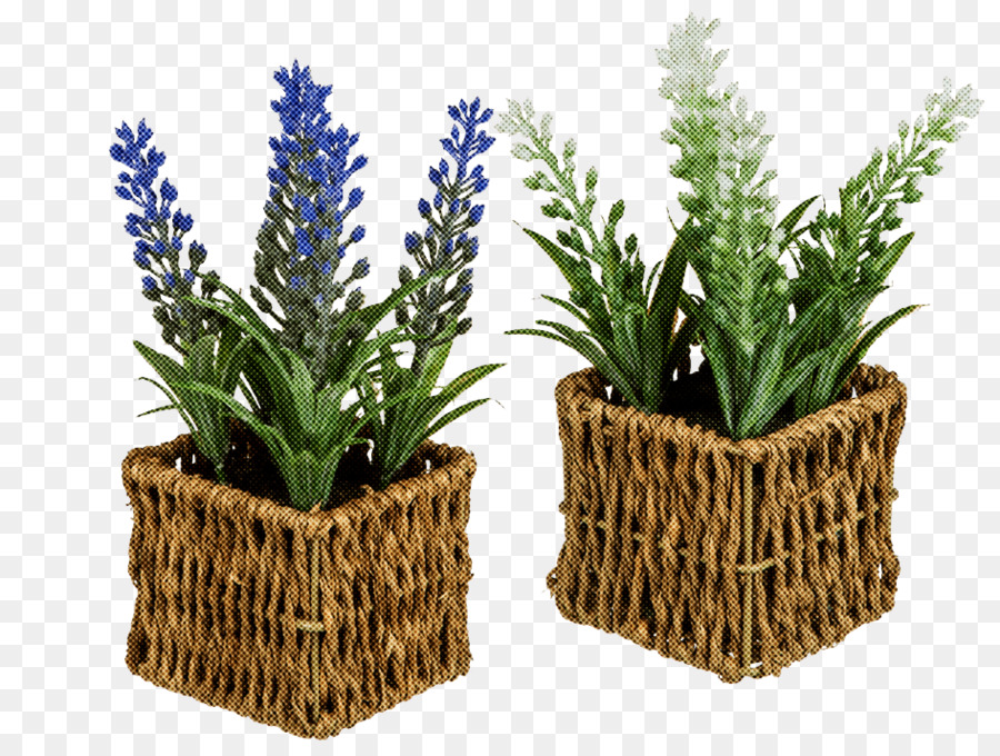 Flowerpot，Fleur PNG