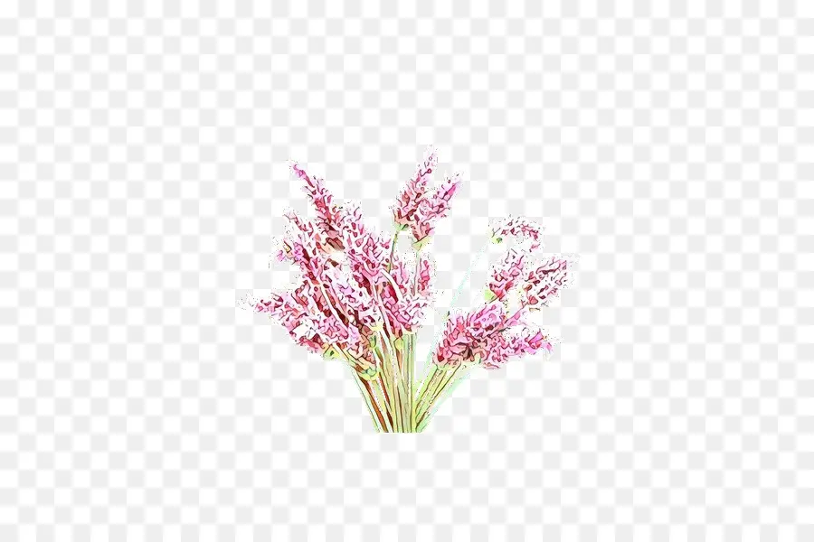 Fleur，Plante PNG