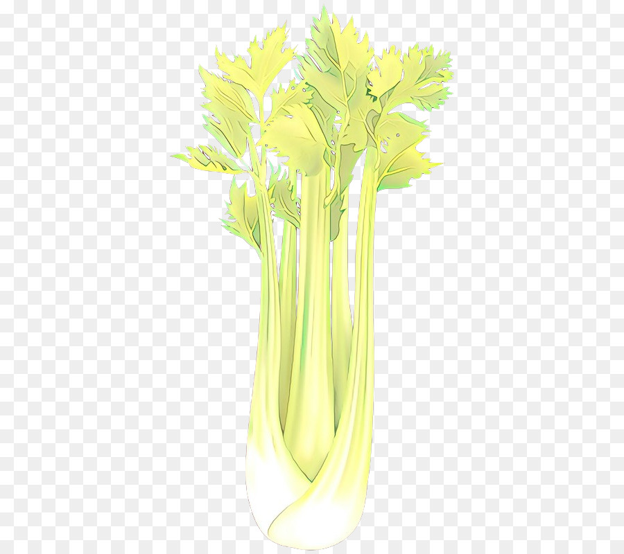 Vert，Vase PNG