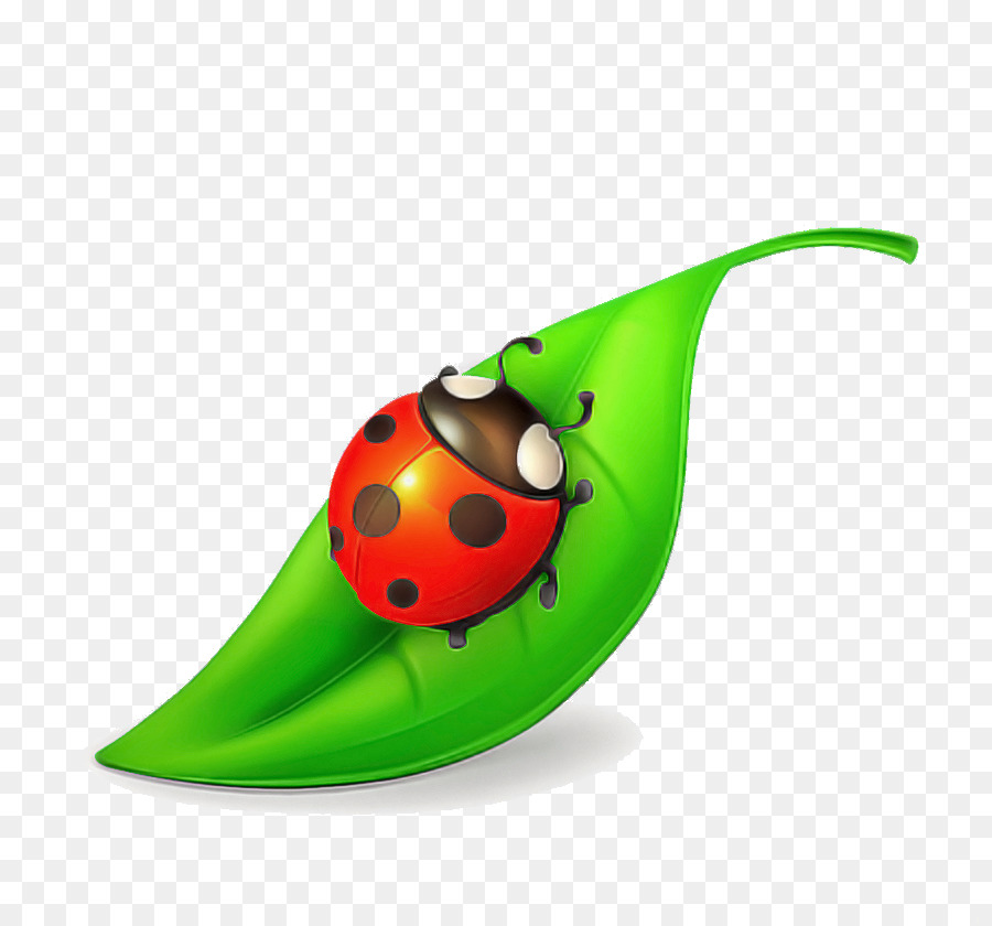 Coccinelle，Feuille PNG