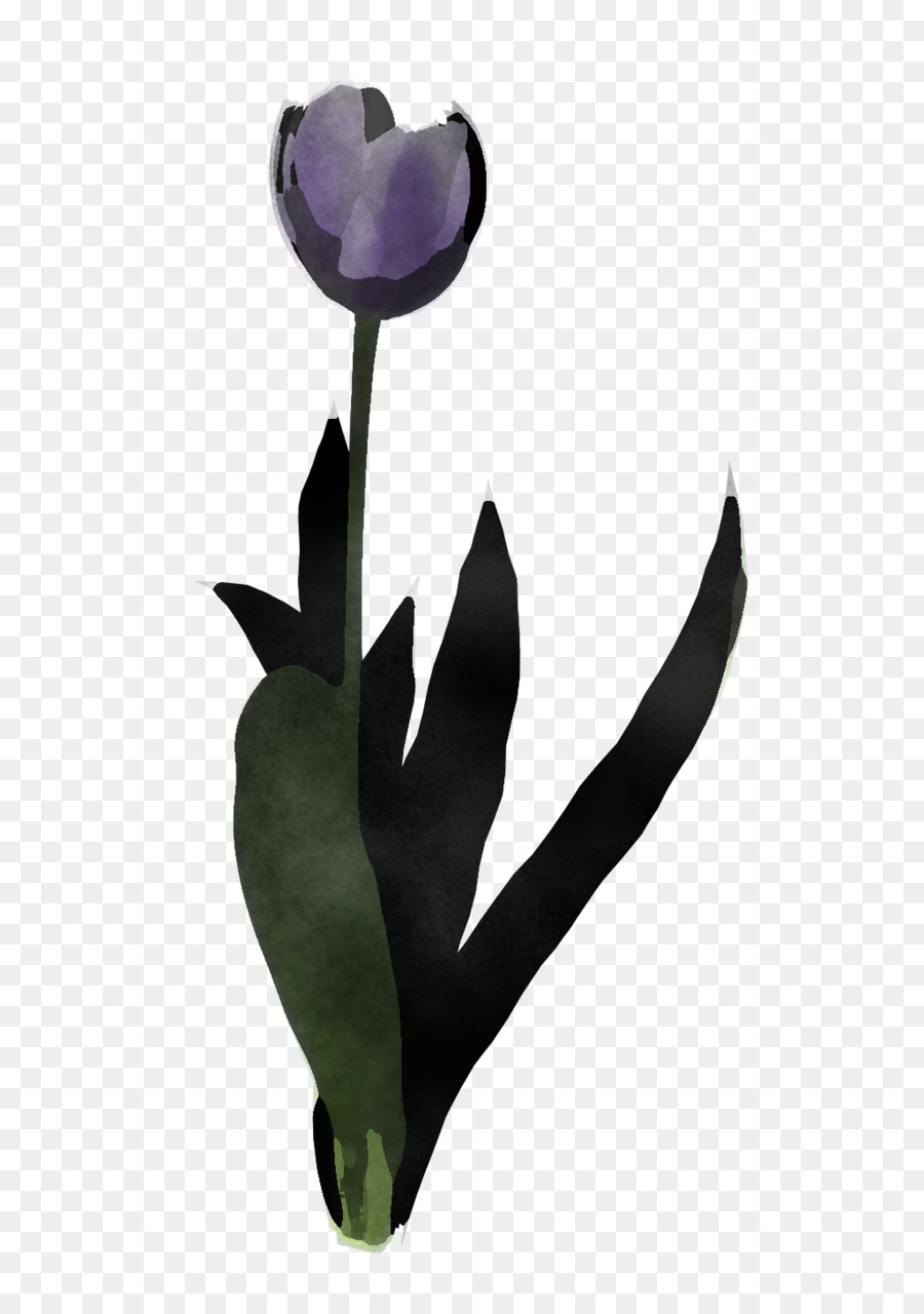 Fleur，Tulip PNG