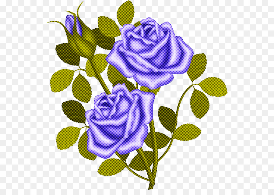 Roses Violettes，Fleurs PNG