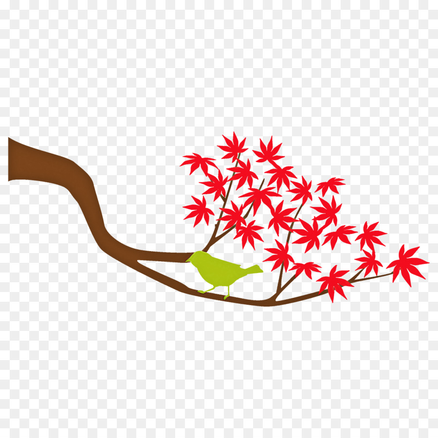 Feuille，Plante PNG