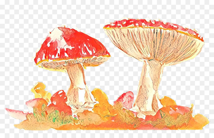 Champignons，Grappe PNG