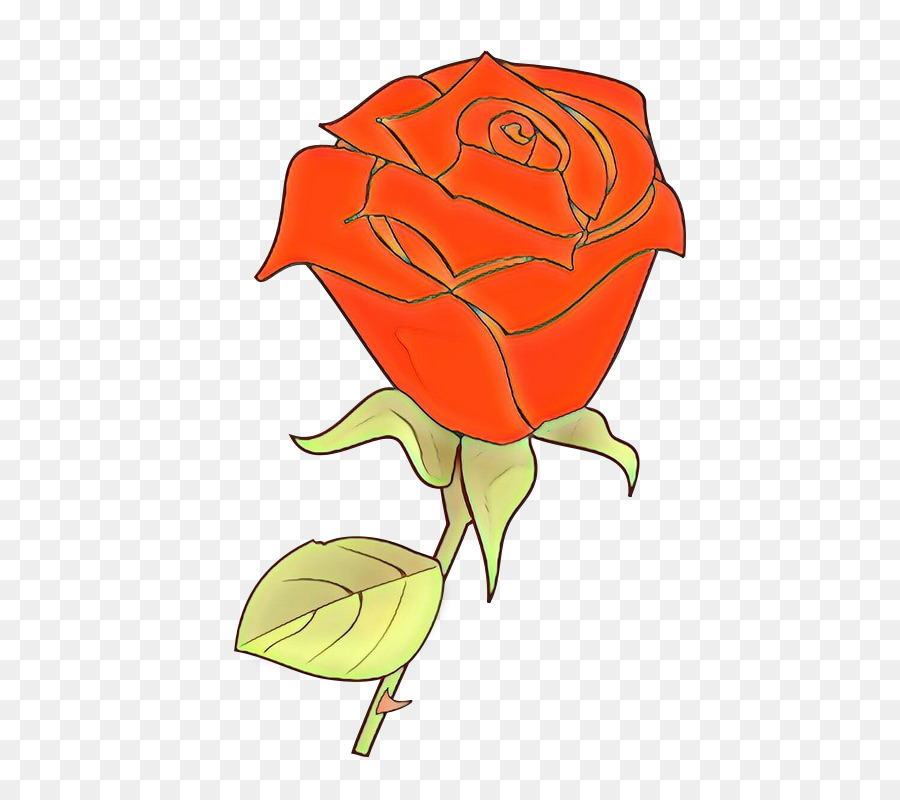 Roses Rouges，Floraison PNG