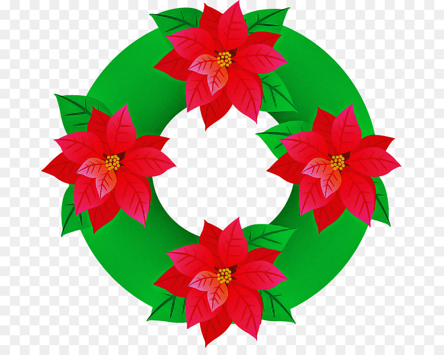 Poinsettia，Rouge PNG