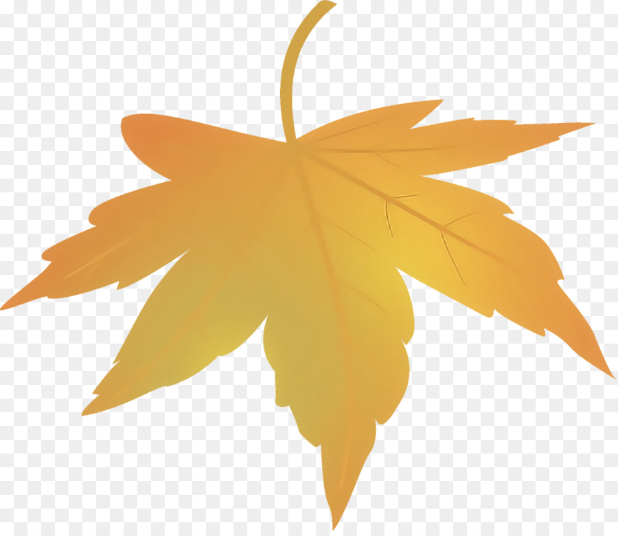 Feuilles D'automne，Automne PNG