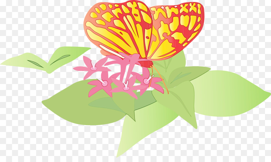 Fleurs D'anthurium，Feuilles PNG