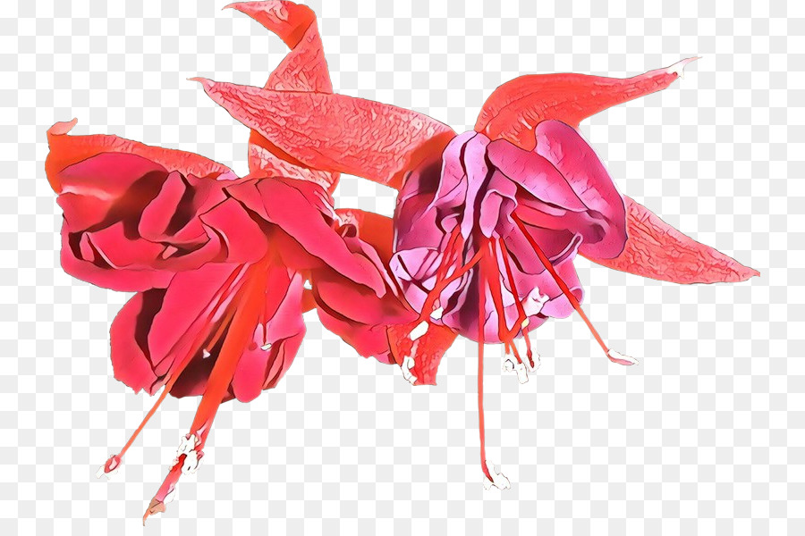 Rouge，Plante PNG