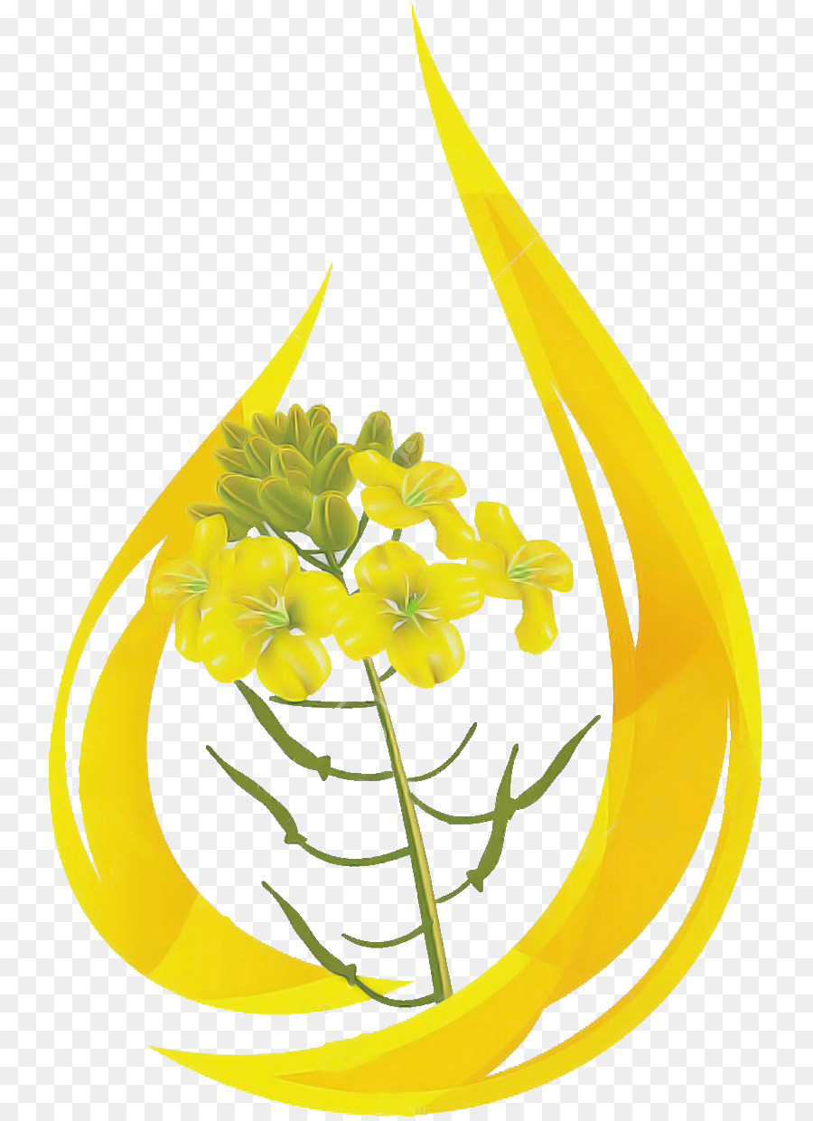 Jaune，Fleur PNG