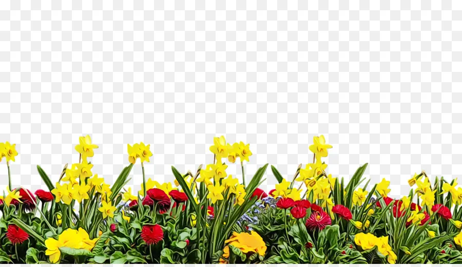 Fleurs De Printemps，Floraison PNG