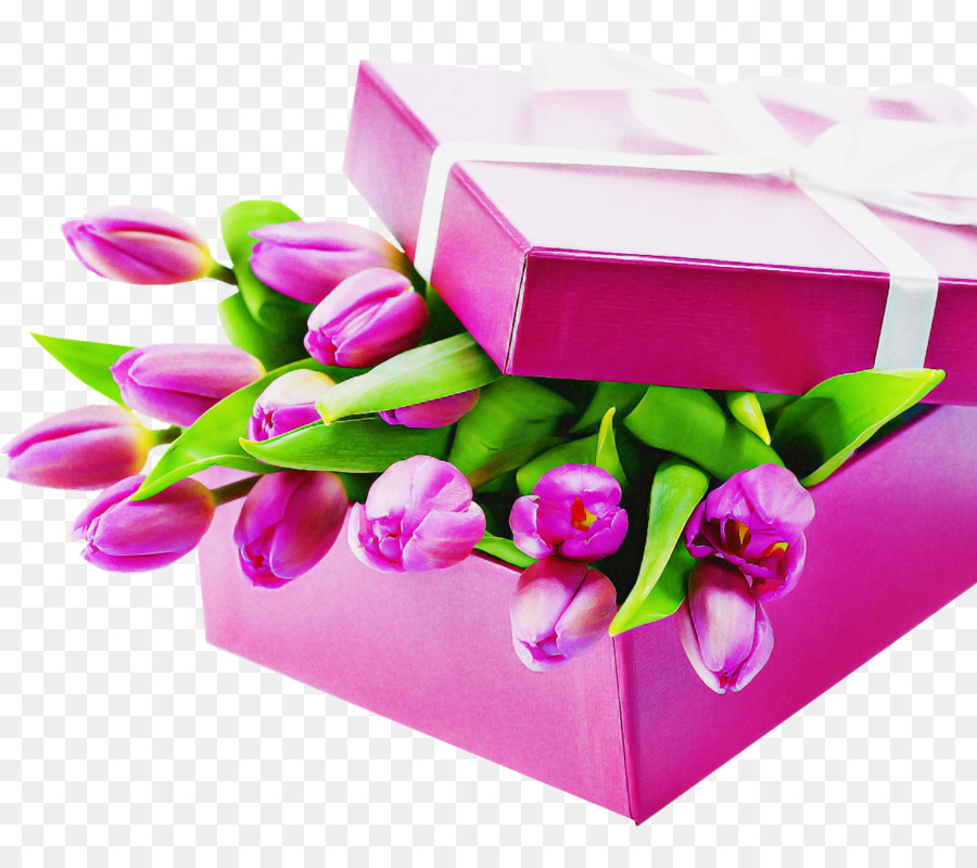 Tulipes Roses，Coffret Cadeau PNG