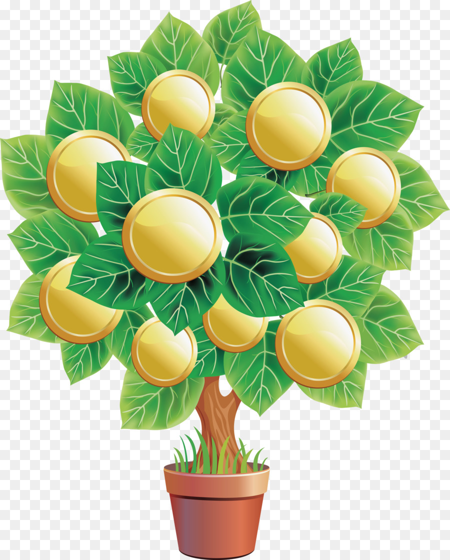 Fleur，Plante PNG