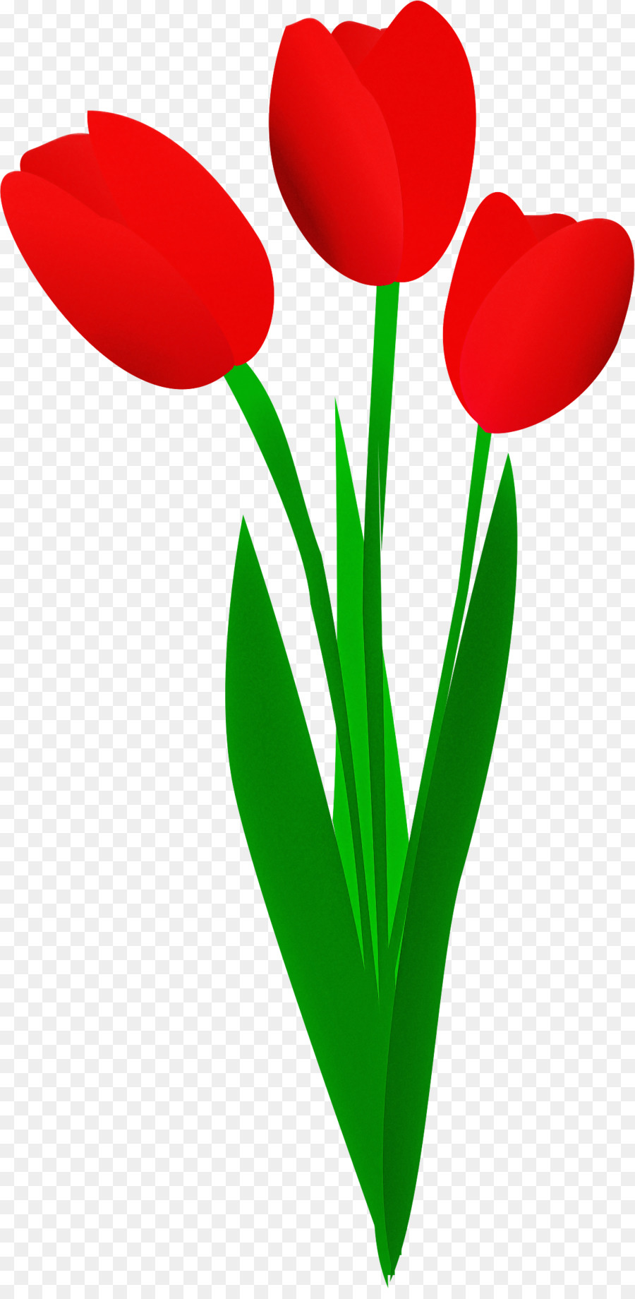 Fleur，Rouge PNG