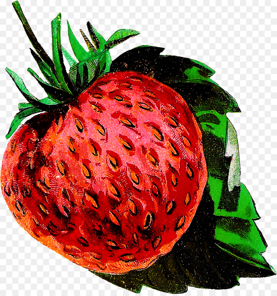 Fruits，Fraises PNG