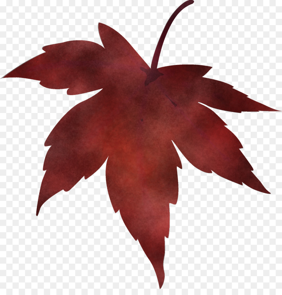 Feuille，Arbre PNG