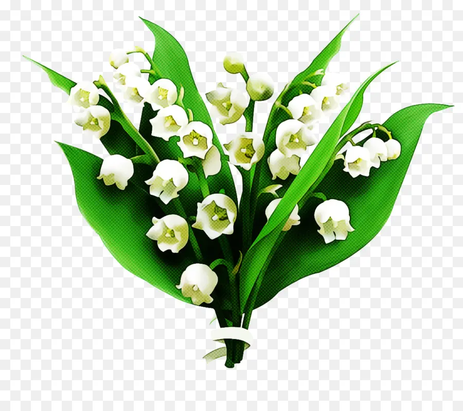 Muguet，Blanc PNG