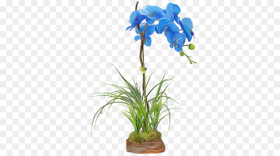 Fleur，Plante PNG