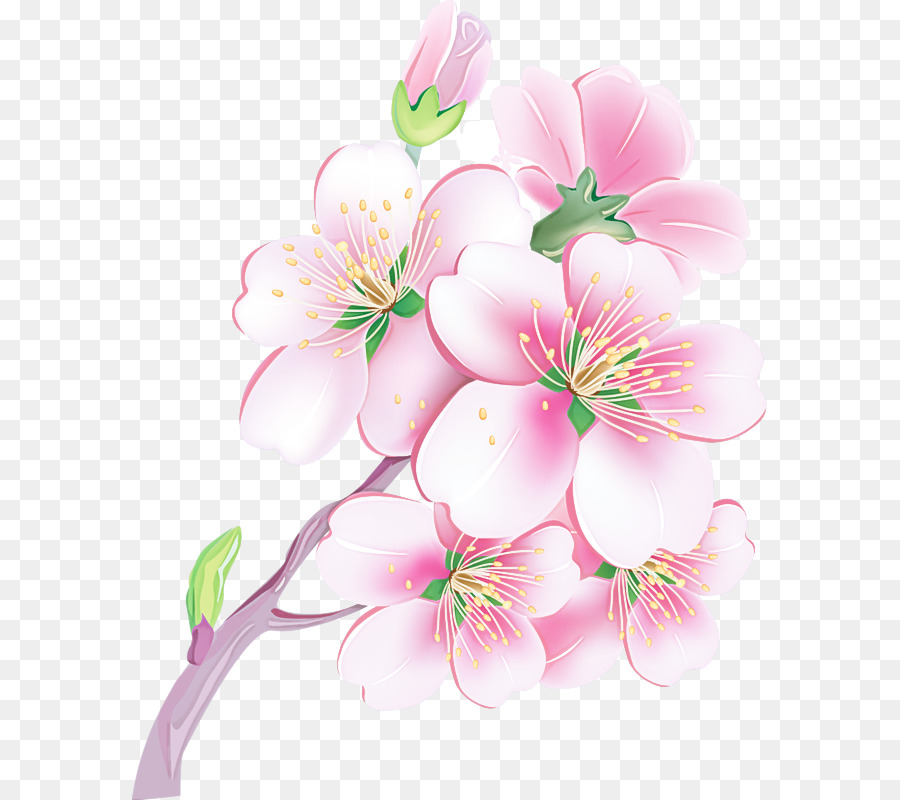 Fleur，Fleurir PNG