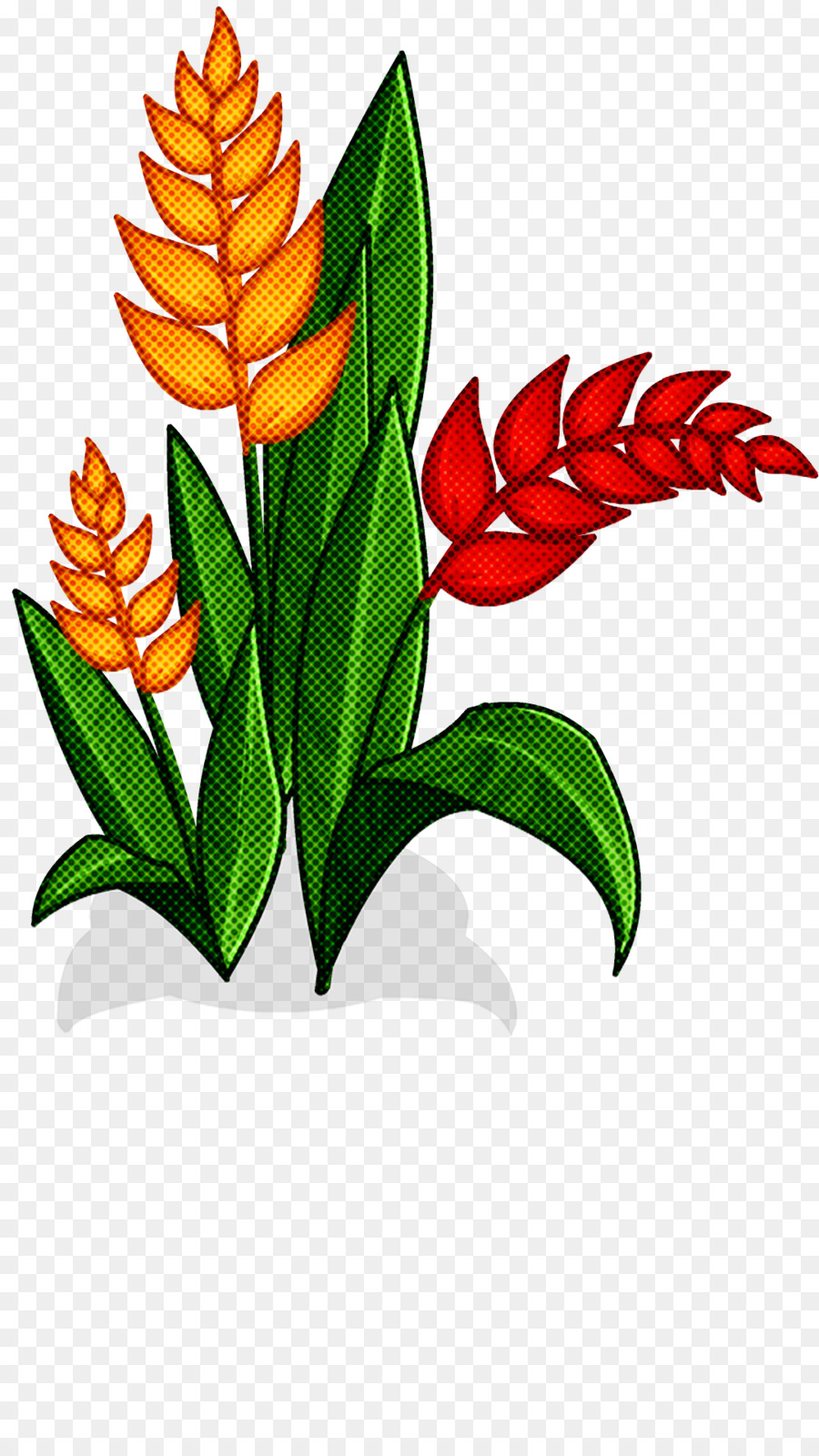 Fleur，Plante PNG