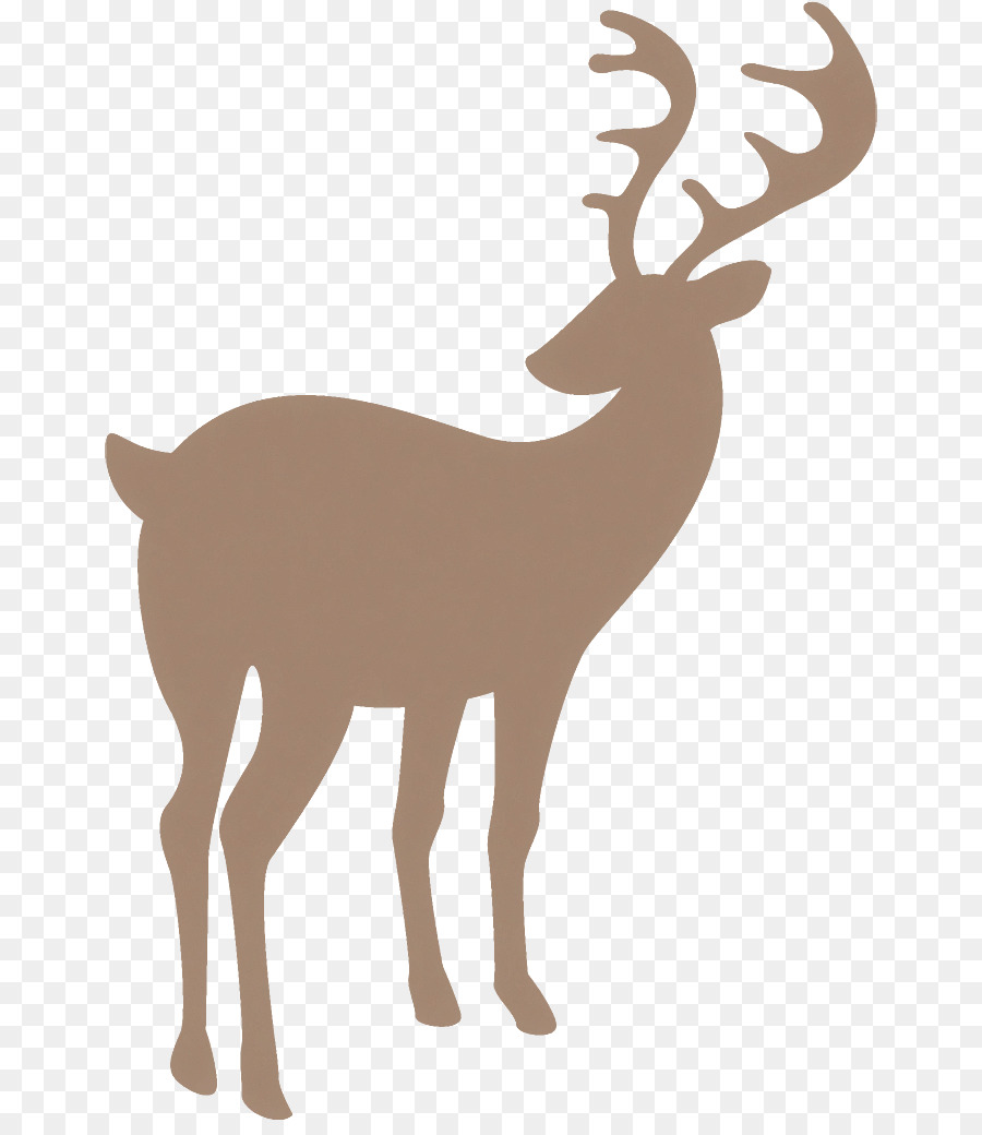 Cerf，Bois PNG