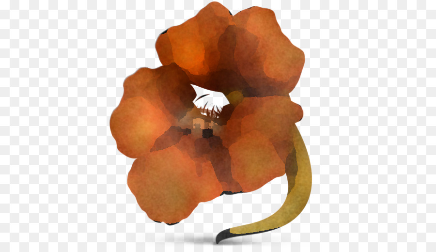 Pétale，Orange PNG