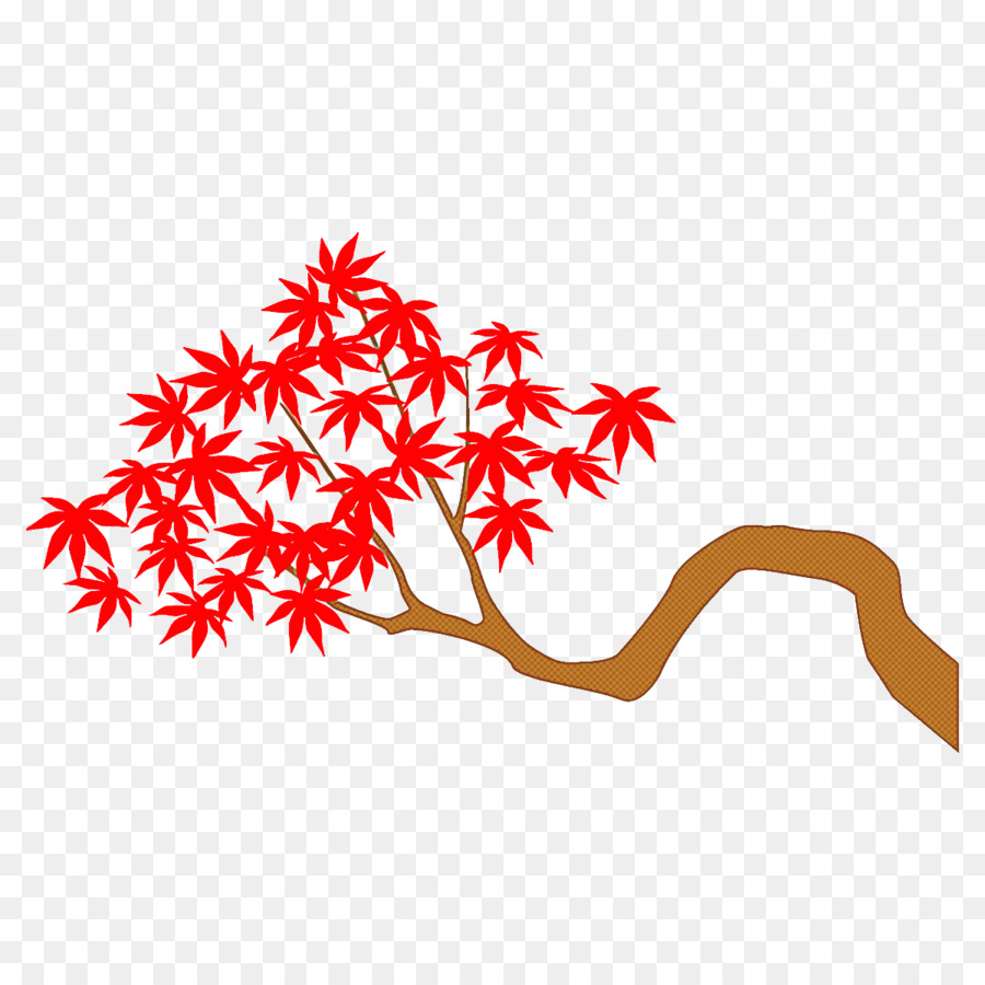 Feuille，Rouge PNG