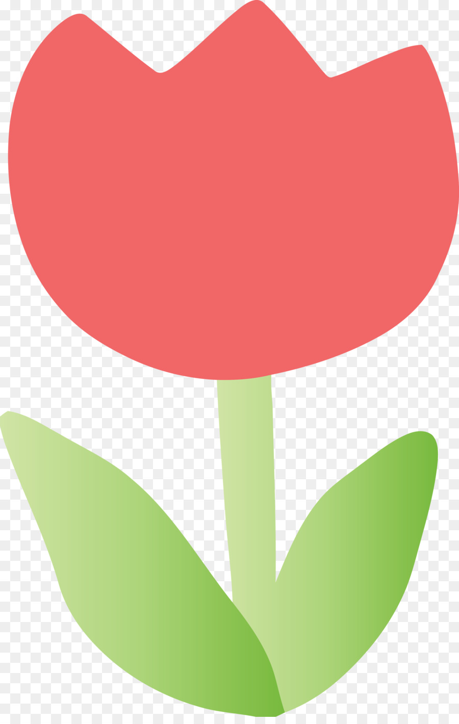 Fleur，Rouge PNG