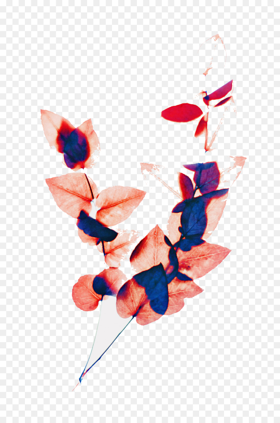 Papillon，Plante PNG