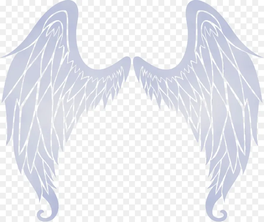 Ailes D'ange，Plumes PNG