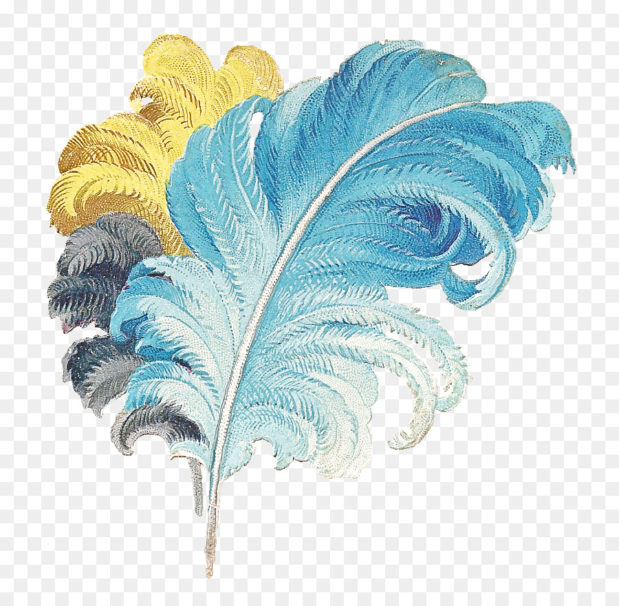 Plume，Feuille PNG