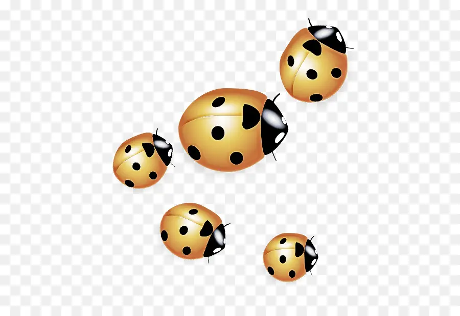 Coccinelles，Taches PNG