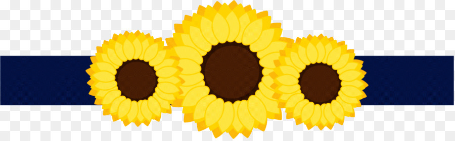 Tournesols，Fleurs PNG