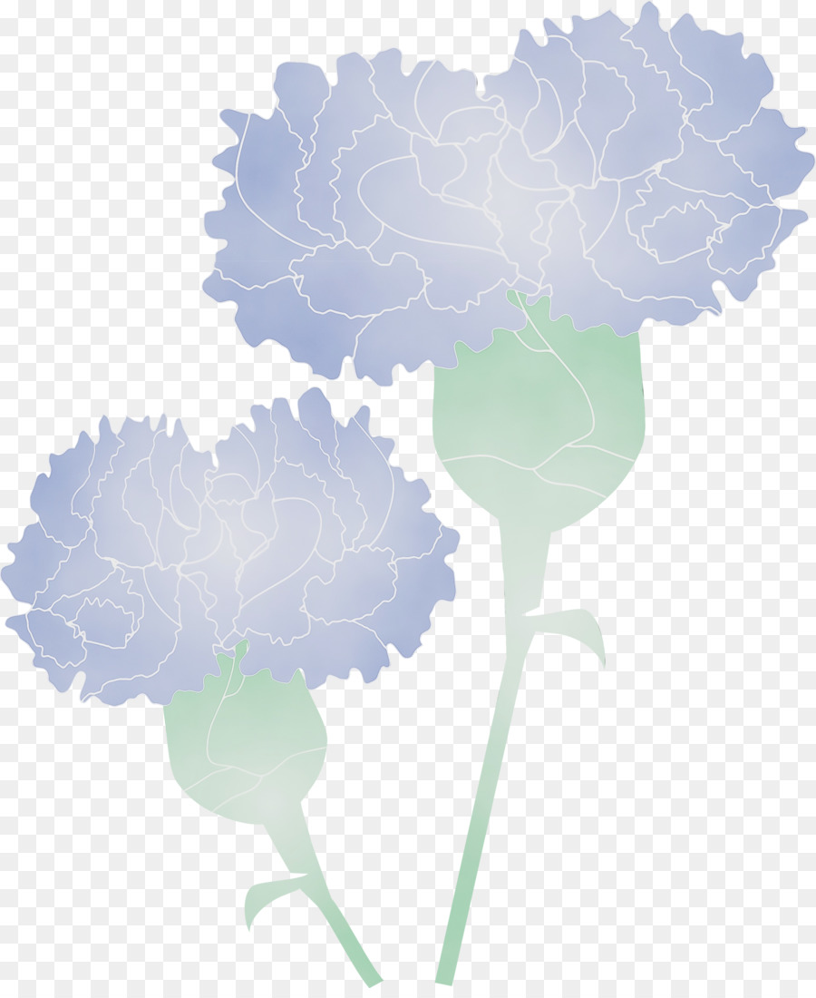 Nuage，Feuille PNG